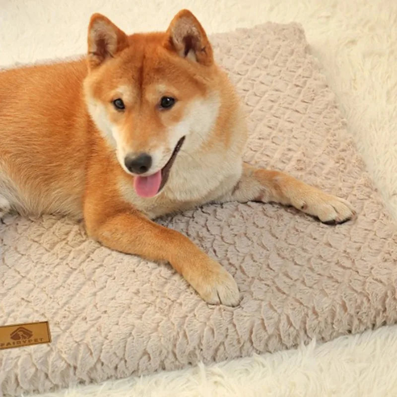 All-Season Pet Bed: Universal Cat & Dog Sleeping Pad