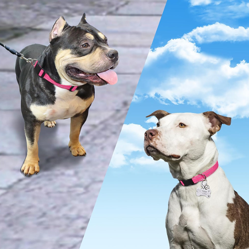 Dog Collar - Reflective Adjustable Nylon & Safety