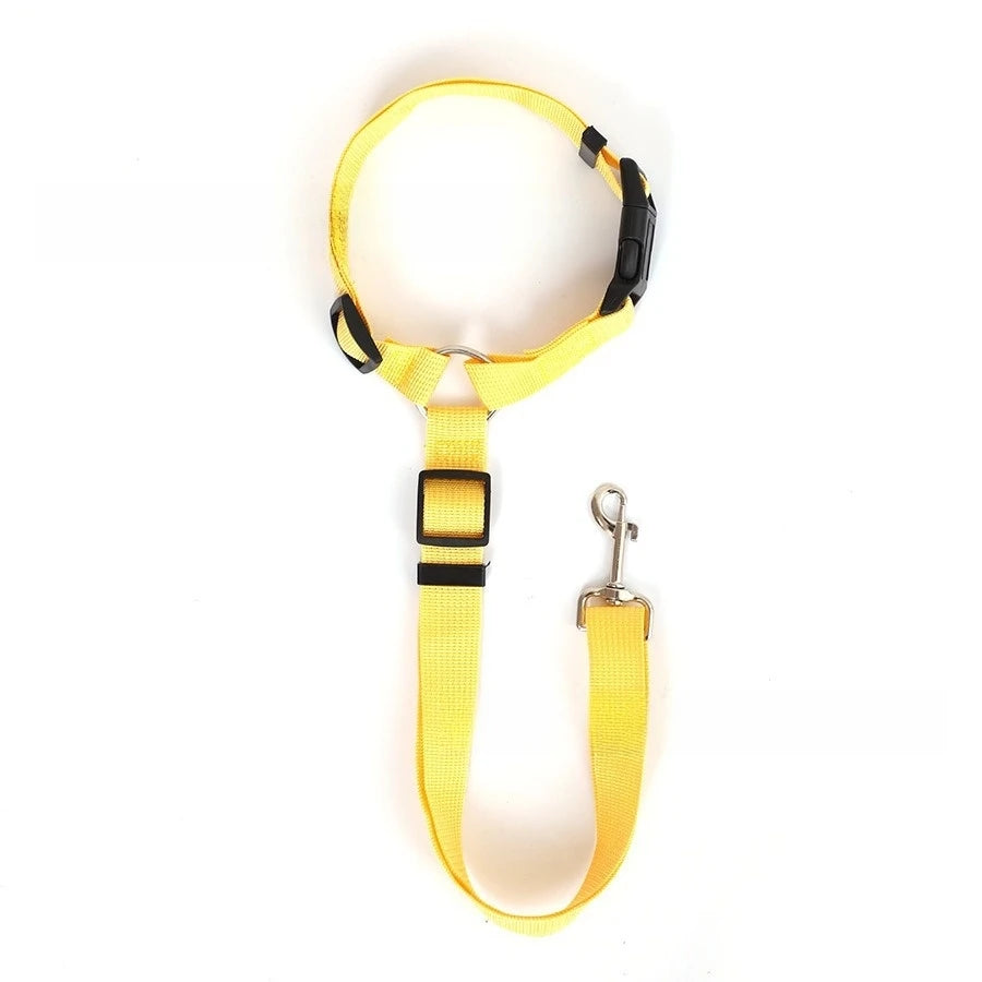 Adjustable Dog Leash - Safety Harness