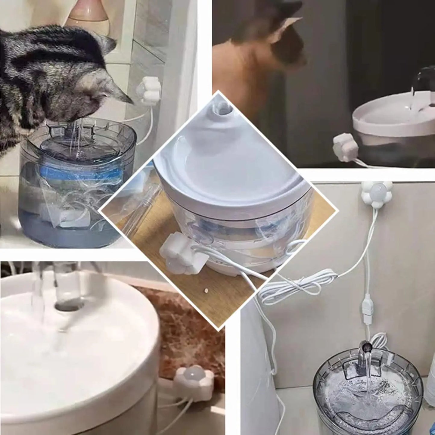Pet Water Fountain with Motion Sensor & Filter