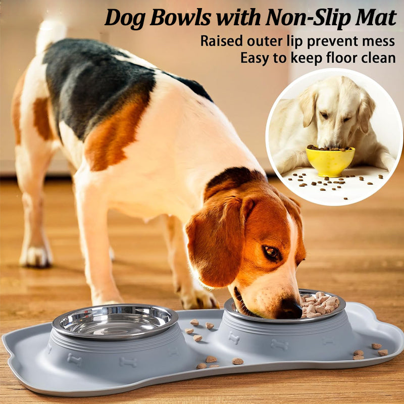 Dog Feeder, Stainless Steel & Anti-Spill Double Bowl