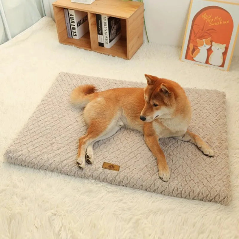 All-Season Pet Bed: Universal Cat & Dog Sleeping Pad