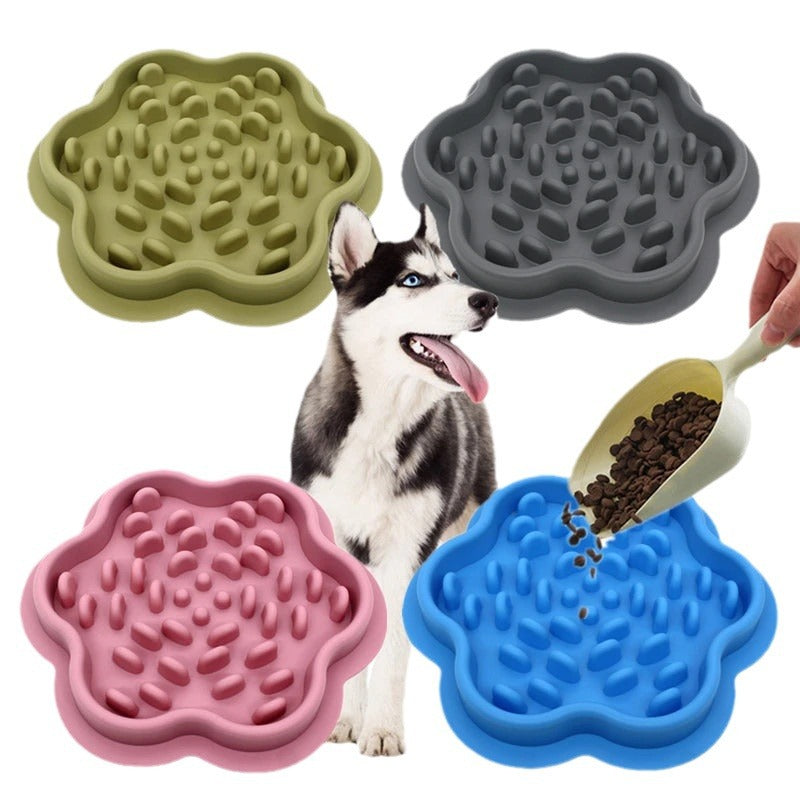 Dog Bowl: Slow Feeder Bowl for Pets - Anti-Gulping Dog Cat Food Dish