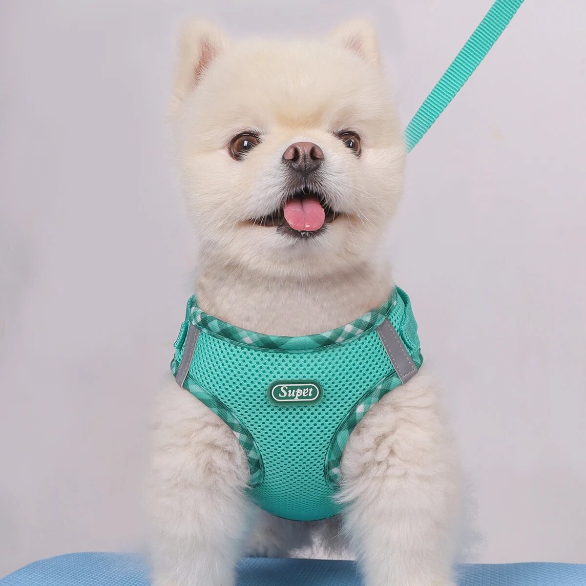 Anti-Pull Dog Harness, Adjustable, Easy Control for Small/Medium