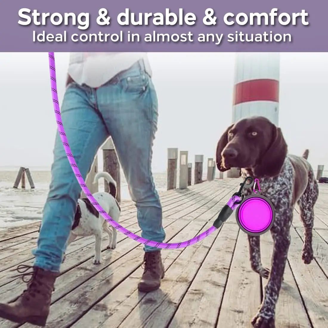 Dog Leash: Strong Reflective Dog Leash for All Sizes