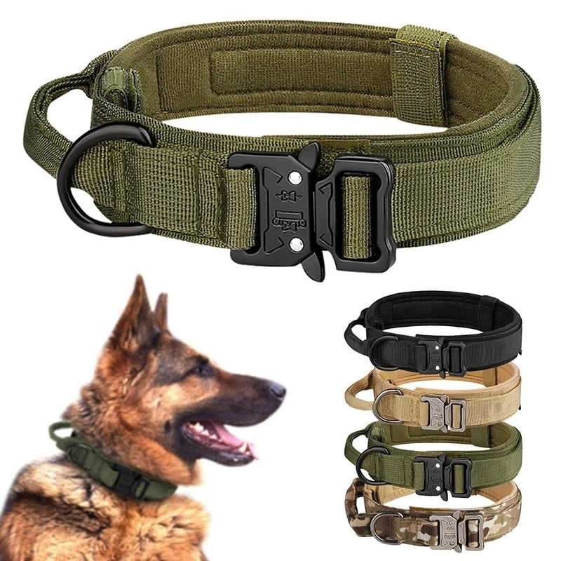 Dog Collar: Metal Buckle, Breathable Nylon, Medium/Large