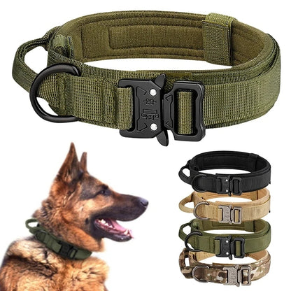 Dog Collar: Metal Buckle, Breathable Nylon, Medium/Large