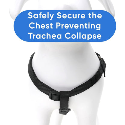 Solid Color Step-In Dog Harness for Small Dogs