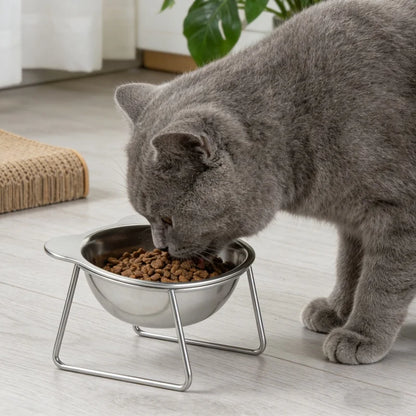 BOOTEELY Tilted Cat Bowl Stainless Steel Cat Food Bowls with Metal Stand Food and Water Dish for Cats Kitten Puppies Feeders Cat Supplies