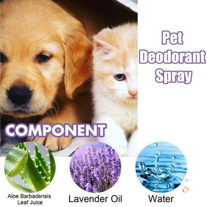Odor Eliminator Cat Spray - 50ml Urine Smell Remover