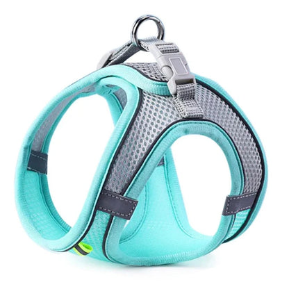 Reflective Dog Harness Set for Small & Medium Dogs