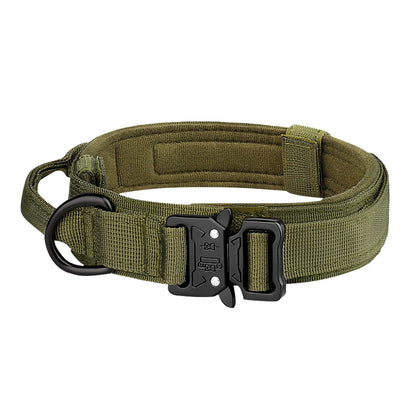 Dog Collar: Metal Buckle, Breathable Nylon, Medium/Large