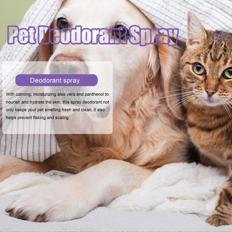 Odor Eliminator Cat Spray - 50ml Urine Smell Remover
