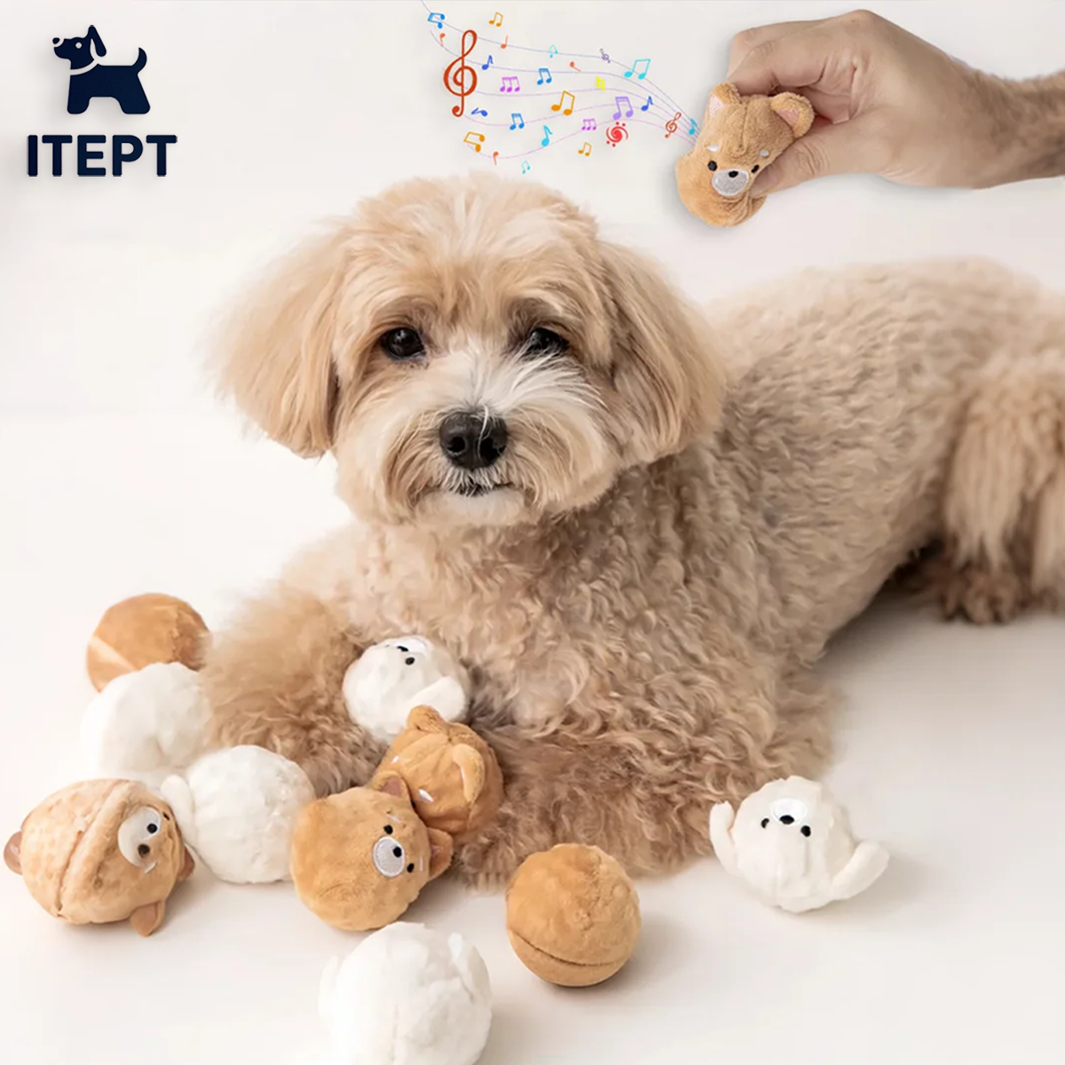 Squeaky Dog Toy: Spiked Chew Toy for Small Dogs & Cats