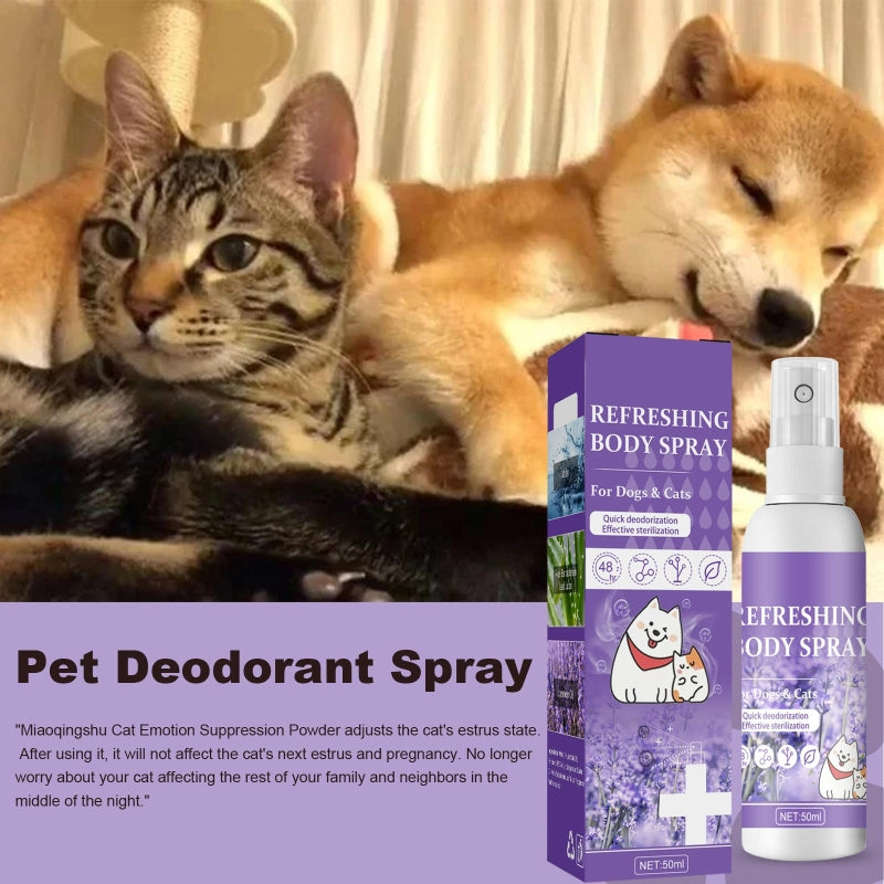 Odor Eliminator Cat Spray - 50ml Urine Smell Remover