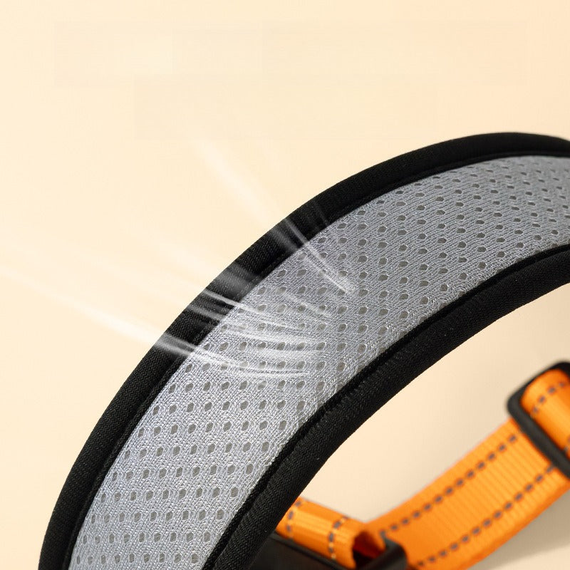 Dog Collar: Durable Dog Chain & Walking Leash