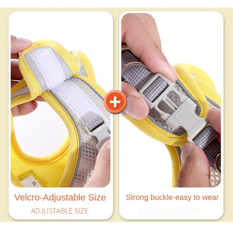 Reflective Dog Harness Set for Small & Medium Dogs