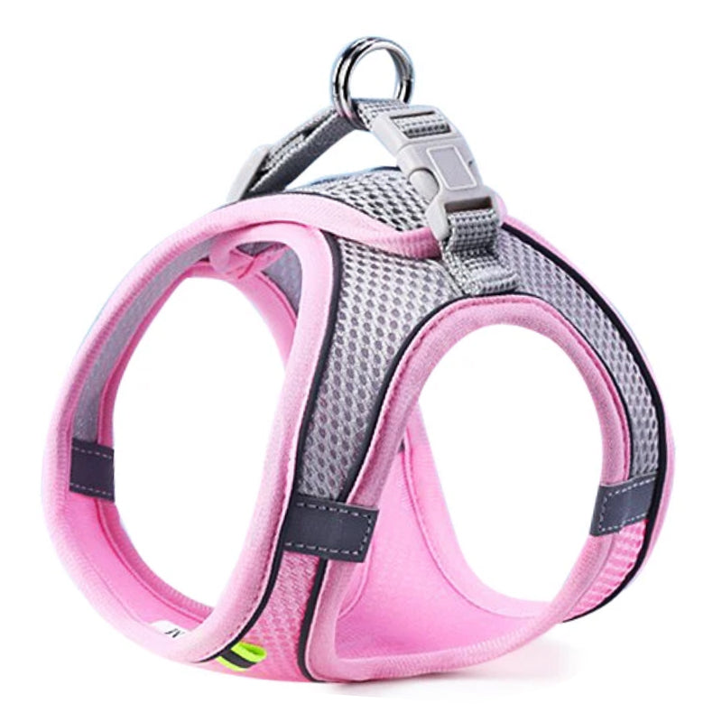 Reflective Dog Harness Set for Small & Medium Dogs