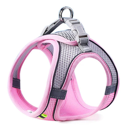 Reflective Dog Harness Set for Small & Medium Dogs