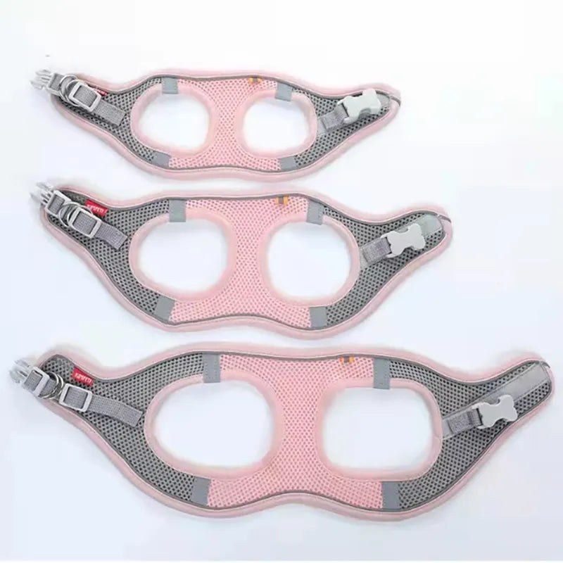 Reflective Dog Harness Set for Small & Medium Dogs