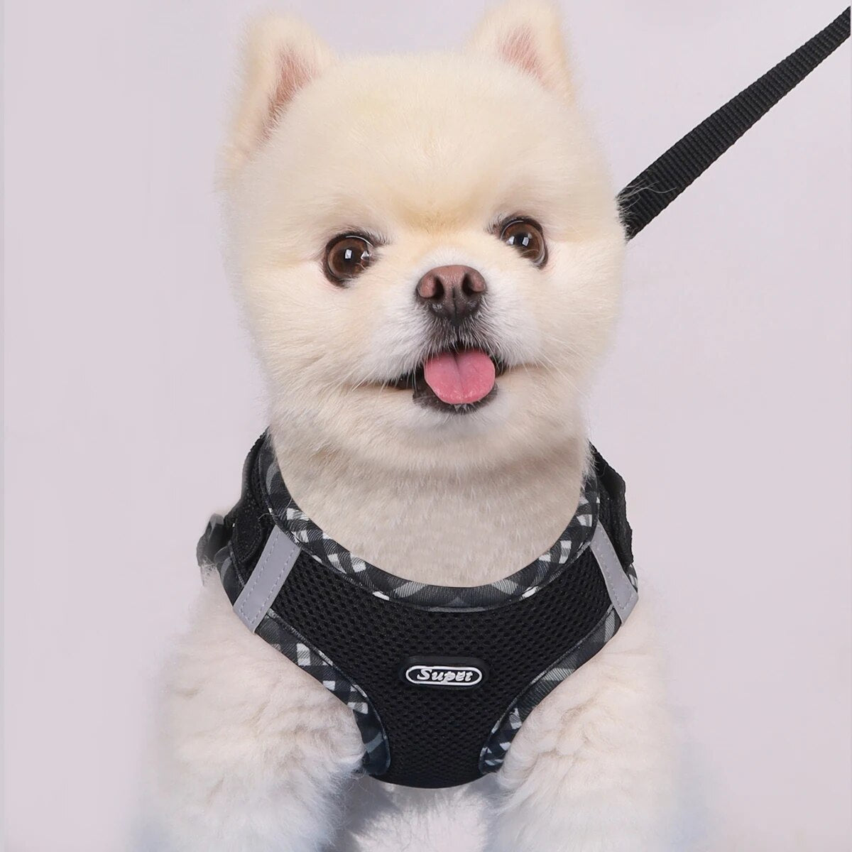 Anti-Pull Dog Harness, Adjustable, Easy Control for Small/Medium