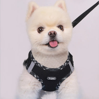 Anti-Pull Dog Harness, Adjustable, Easy Control for Small/Medium