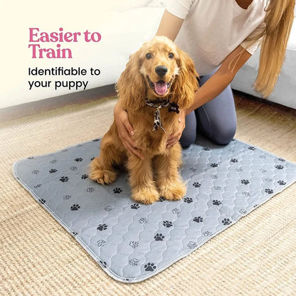 Washable Dog Pad Pee: Reusable Anti-Slip Pet Bed Mat