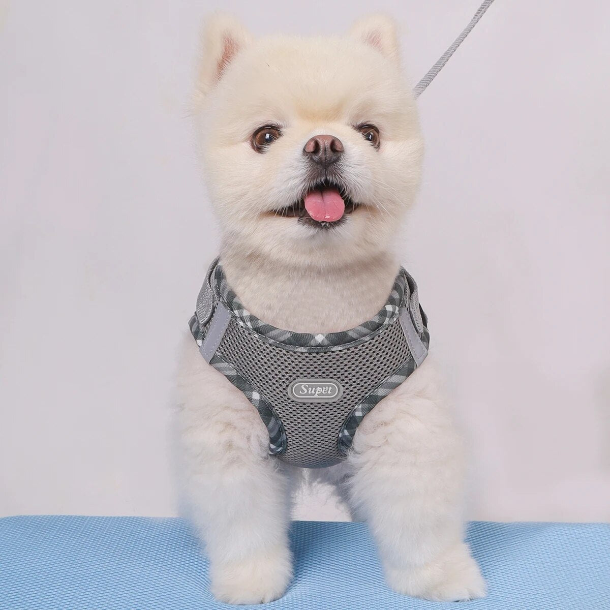 Anti-Pull Dog Harness, Adjustable, Easy Control for Small/Medium