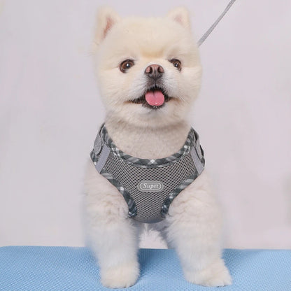 Anti-Pull Dog Harness, Adjustable, Easy Control for Small/Medium