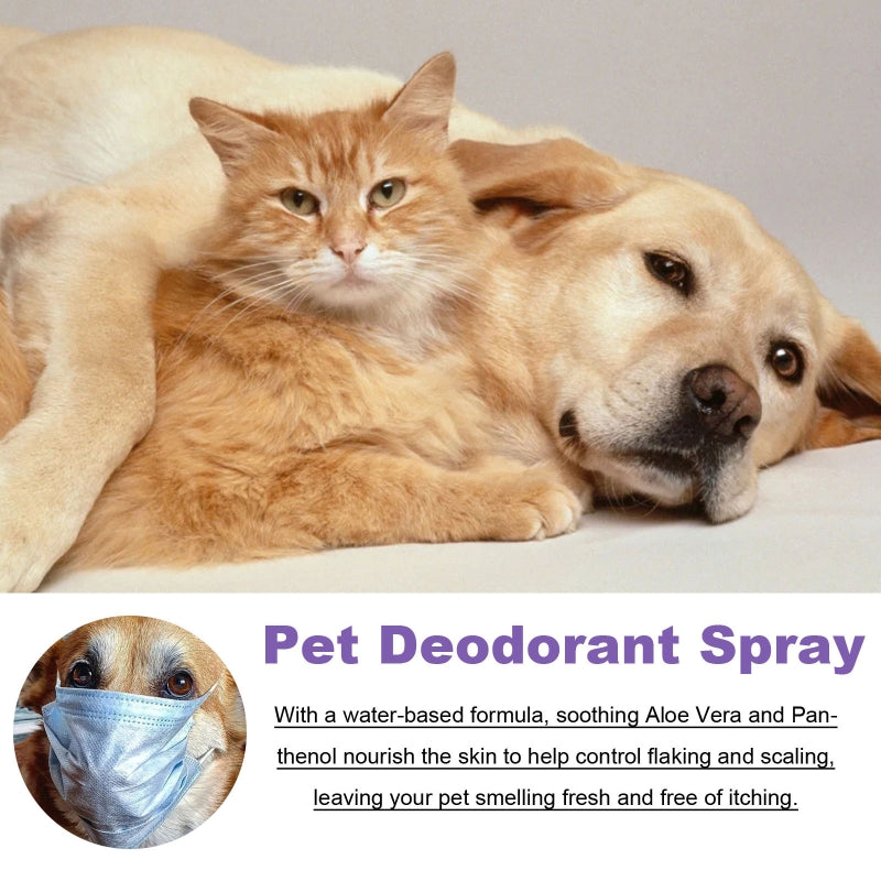 Odor Eliminator Cat Spray - 50ml Urine Smell Remover