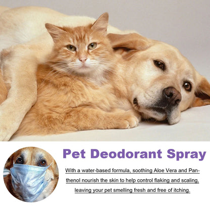 Odor Eliminator Cat Spray - 50ml Urine Smell Remover