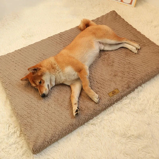 All-Season Pet Bed: Universal Cat & Dog Sleeping Pad