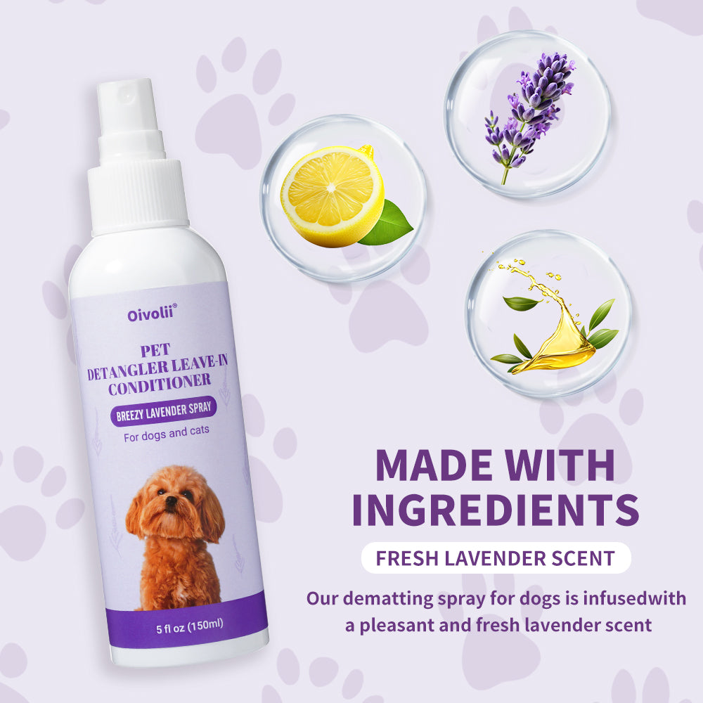 Pet Bug Spray: Lavender Clean & Shine for Dogs & Cats
