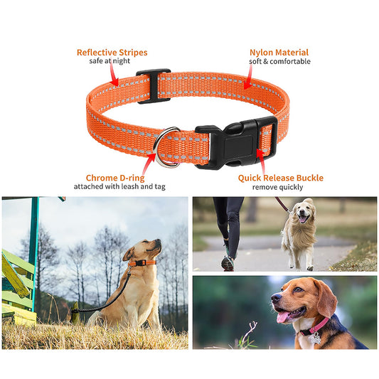 Dog Collar - Reflective Adjustable Nylon & Safety