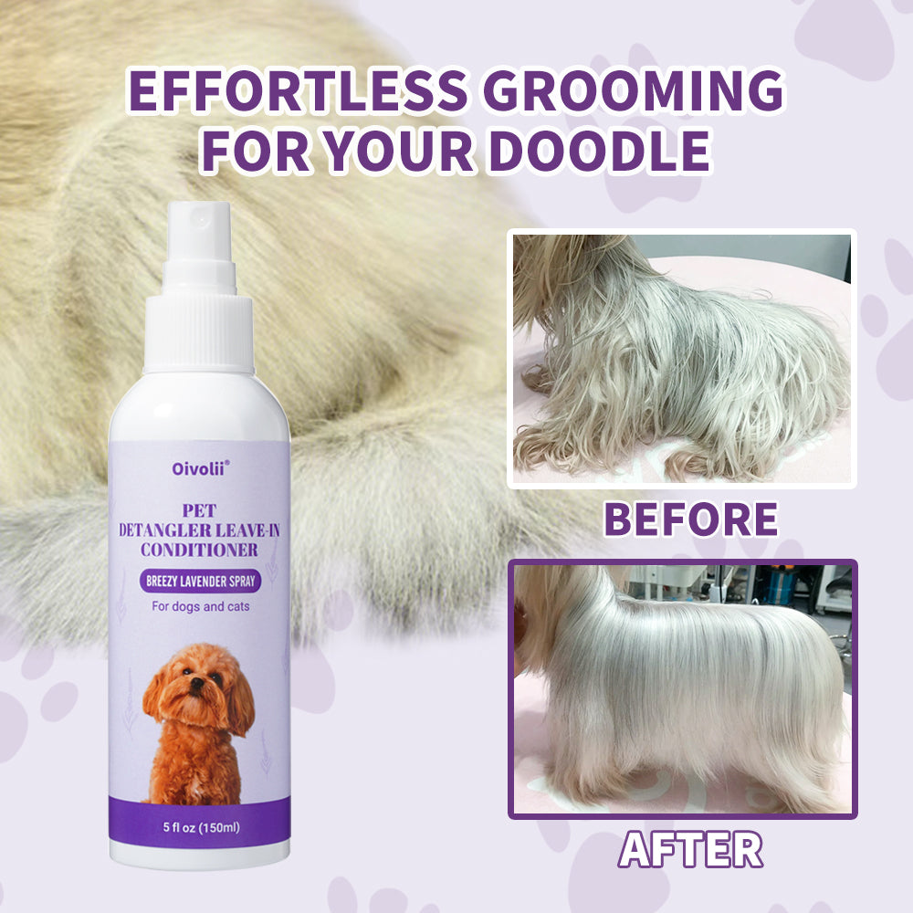 Pet Bug Spray: Lavender Clean & Shine for Dogs & Cats