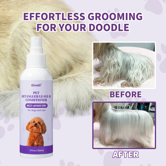 Pet Bug Spray: Lavender Clean & Shine for Dogs & Cats