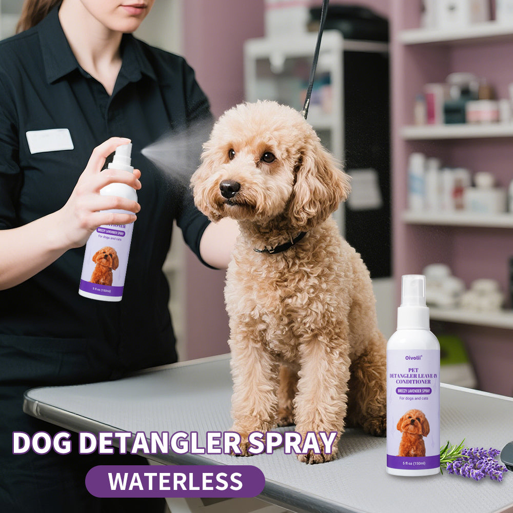 Pet Bug Spray: Lavender Clean & Shine for Dogs & Cats