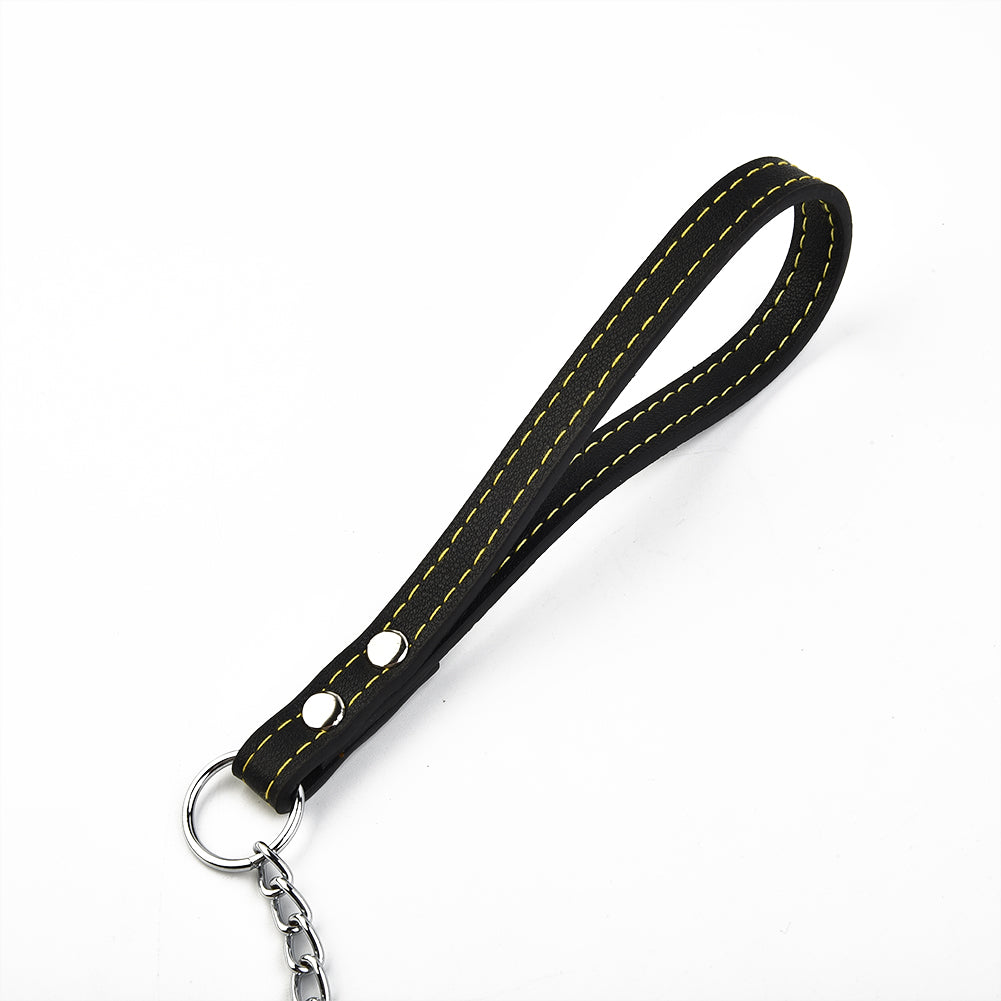 Dog Leash: Metal Chain Dog Leash with Leather Handle - Secure Control