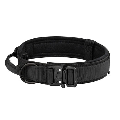 Dog Collar: Metal Buckle, Breathable Nylon, Medium/Large