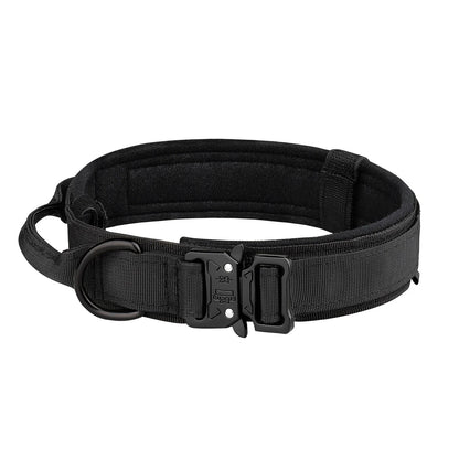 Dog Collar: Metal Buckle, Breathable Nylon, Medium/Large