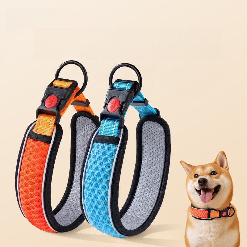 Dog Collar: Durable Dog Chain & Walking Leash