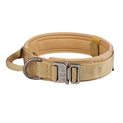 Dog Collar: Metal Buckle, Breathable Nylon, Medium/Large
