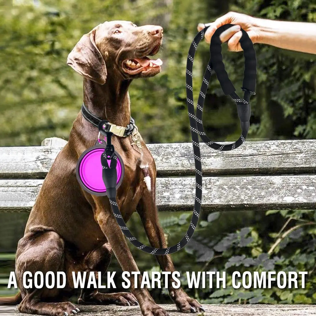 Dog Leash: Strong Reflective Dog Leash for All Sizes